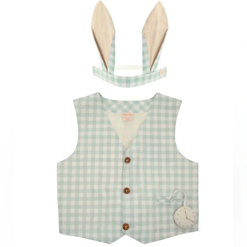 🐰Meri Meri Dusty Mint Gingham 2-Piece Bunny Costume Vest & Ears Set O/S